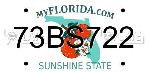 73BS722 Florida License Plate