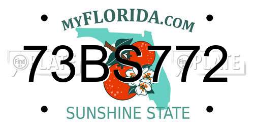 73BS772 Florida License Plate