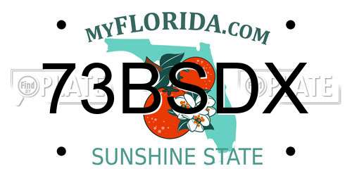 73BSDX Florida License Plate