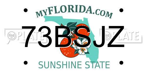 73BSJZ Florida License Plate