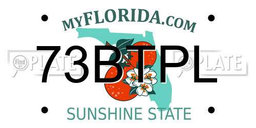 73BTPL Florida License Plate