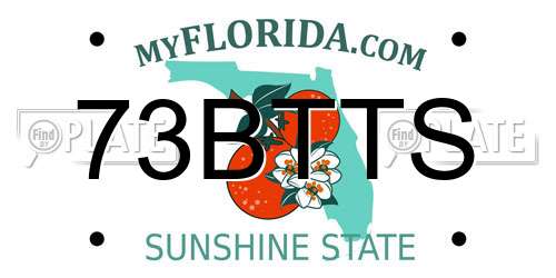 73BTTS Florida License Plate