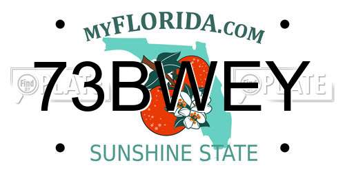 73BWEY Florida License Plate