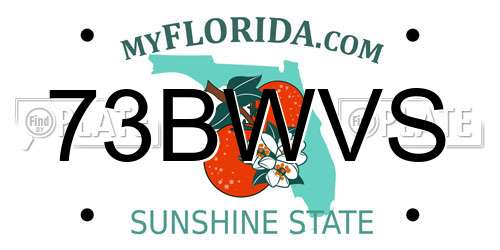 73BWVS Florida License Plate