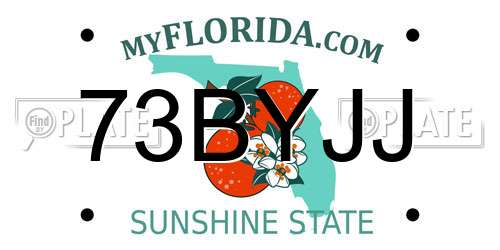 73BYJJ Florida License Plate