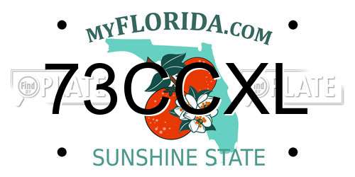 73CCXL Florida License Plate