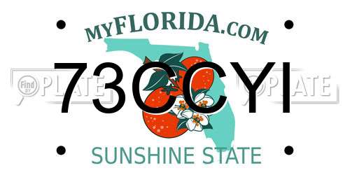 73CCYI Florida License Plate