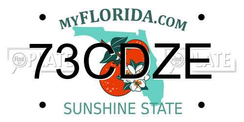 73CDZE Florida License Plate