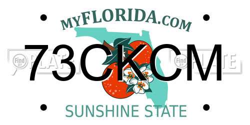 73CKCM Florida License Plate