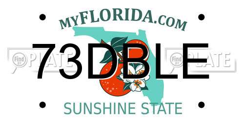 73DBLE Florida License Plate