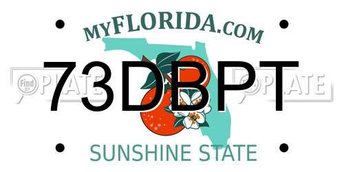 73DBPT Florida License Plate