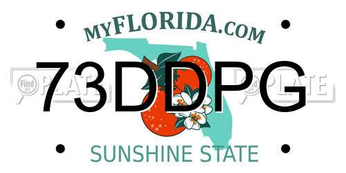 73DDPG Florida License Plate