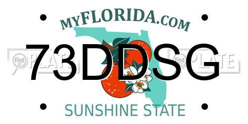 73DDSG Florida License Plate