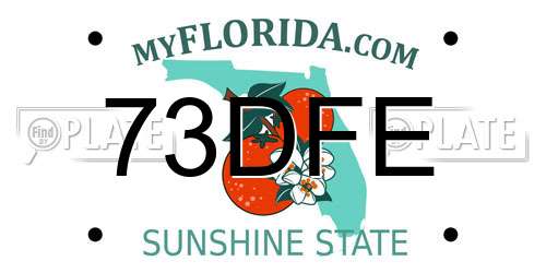 73DFE Florida License Plate