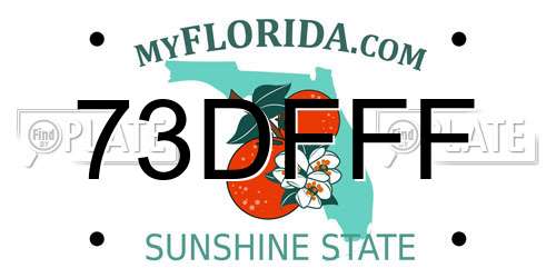 73DFFF Florida License Plate