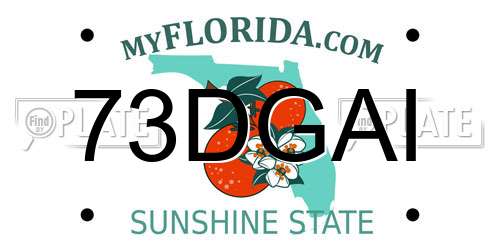 73DGAI Florida License Plate