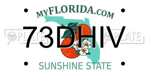 73DHIV Florida License Plate