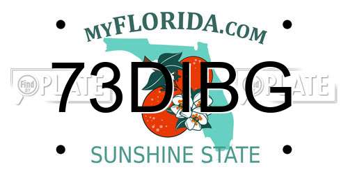 73DIBG Florida License Plate