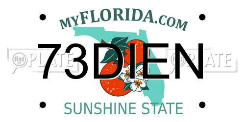 73DIEN Florida License Plate