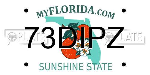 73DIPZ Florida License Plate