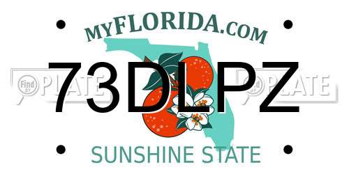 73DLPZ Florida License Plate