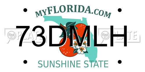 73DMLH Florida License Plate