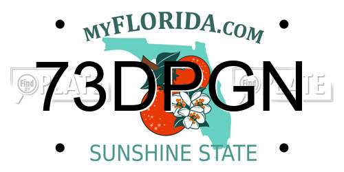 73DPGN Florida License Plate