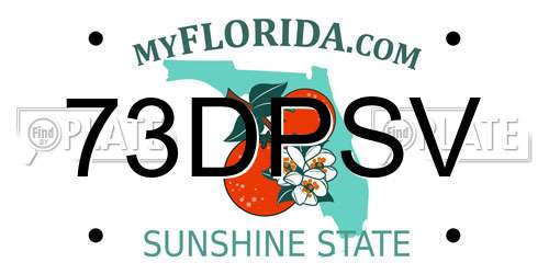 73DPSV Florida License Plate