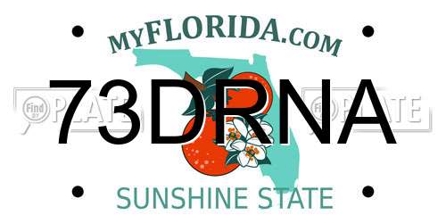 73DRNA Florida License Plate