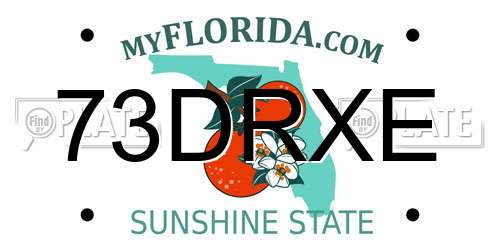 73DRXE Florida License Plate