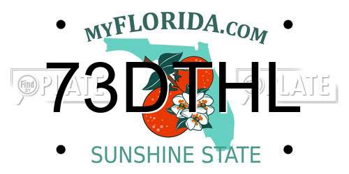73DTHL Florida License Plate