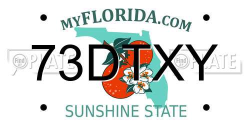 73DTXY Florida License Plate