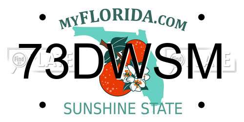 73DWSM Florida License Plate