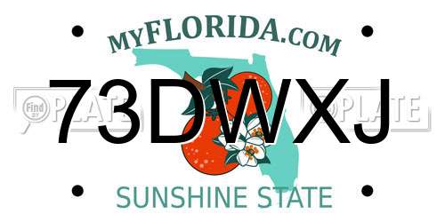 73DWXJ Florida License Plate