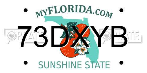 73DXYB Florida License Plate