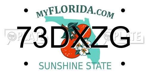 73DXZG Florida License Plate