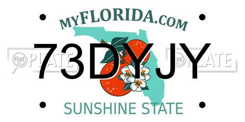 73DYJY Florida License Plate