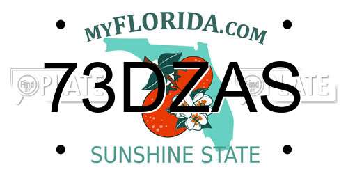 73DZAS Florida License Plate