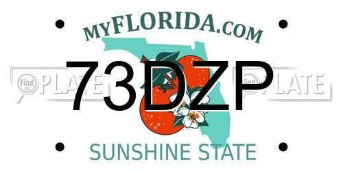 73DZP Florida License Plate