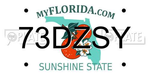 73DZSY Florida License Plate