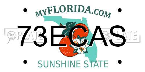 73ECAS Florida License Plate