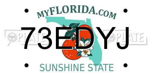 73EDYJ Florida License Plate