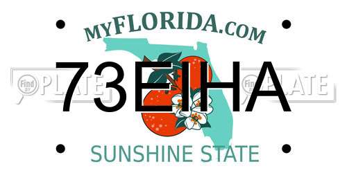 73EIHA Florida License Plate
