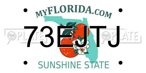73EJTJ Florida License Plate