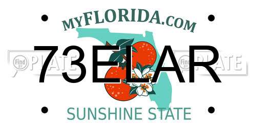 73ELAR Florida License Plate