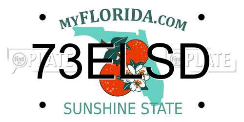 73ELSD Florida License Plate