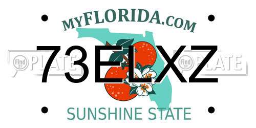 73ELXZ Florida License Plate