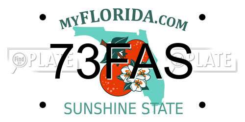 73FAS Florida License Plate