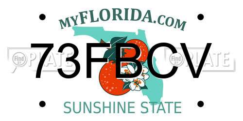 73FBCV Florida License Plate