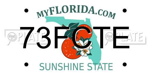 73FCTE Florida License Plate
